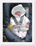 abbey-one-dayold * 768 x 1024 * (142KB)