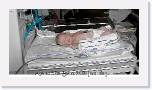 Aimee_first_day1_2k2006_001 * 782 x 410 * (247KB)